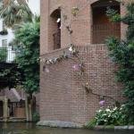 OTRA2014_0846 (August 29, 2014)